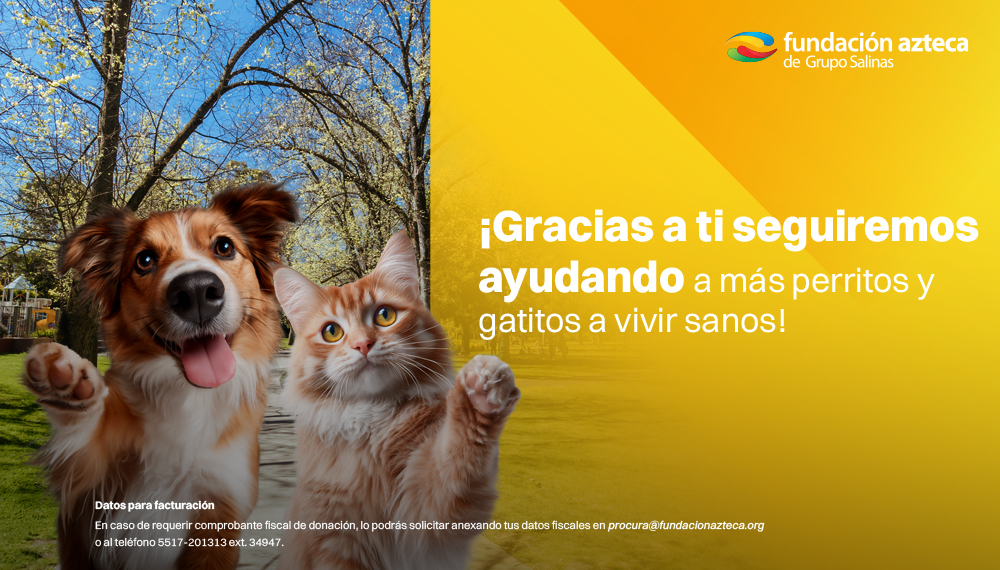 Cuidado Animal