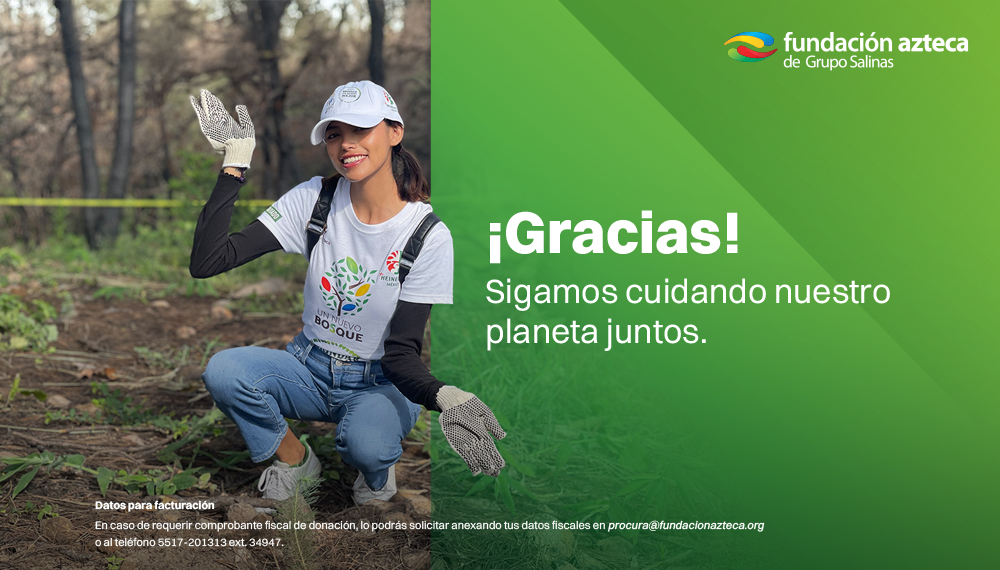 Medio Ambiente